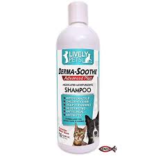 Lively Pets Medicated Dog Shampoo For Dogs And Cats Ketoconazole Chlorhexidine For Dry Skin Yeast Infecti Medicated Dog Shampoo Dog Shampoo Shampoo Reviews