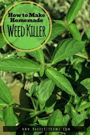 💡 how much does the shipping cost for pet friendly weed killer? How To Make Homemade Weed Killer 5 Natural Diy Weed Killer Ideas Happy Diy Home