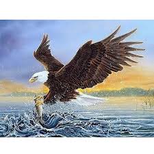 Ini dia gambar tato keren di pahauntuk pria youtube via youtube.com. 5d Diamond Painting Sea Eagles Catch Fish Paint With Diamonds Art Crystal Craft Decor Diamond Painting 5d Diamond Painting Fish Painting