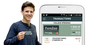 Best prepaid credit card for teenager. Famzoo Preparing Kids For The Financial Jungle