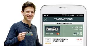 Check spelling or type a new query. Famzoo Preparing Kids For The Financial Jungle