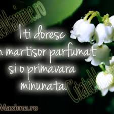 Imagini frumoase de primăvară, adevărate mărțișoare pentru fete și băieți. Iti Doresc Un Martisor Parfumat Si O Primavara Minunata Citate Maxime
