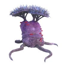 The grand cotton anemone is connected to the ground by a very thick, dark green stem which twists as it grows upwards and is topped by a few triangular leaves and a huge. Twisted Mandrake Subnautica Below Zero Wiki Fandom