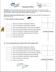 Free Monohybrid Genetics Practice Problem Worksheet Punnett Squares Genetics Practice Problems Genetics Practice