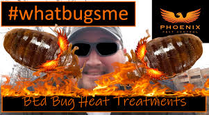 General pest control from dead end exterminating. Bed Bug Heat Treatments In Knoxville Tn Phoenix Pest Control