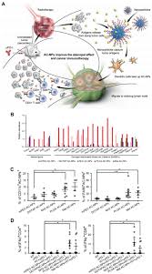 Hier erfährst du mehr zu den personen, die die seiten verwalten und beiträge darin posten. Recent Advances In Polymeric Nanomedicines For Cancer Immunotherapy Lee 2019 Advanced Healthcare Materials Wiley Online Library