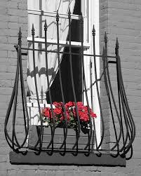 Black And White Picture With Color Accents Canon 400d Colour Accent Help With Images Color Splash Photography Color Splash Photo Red Images