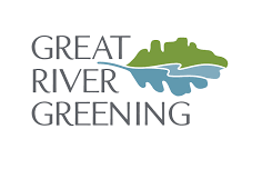 Volunteer Tree Planting in Superior National Forest