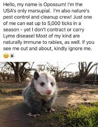 Cloud, fl pest control services. Budget Pest Control Home Facebook