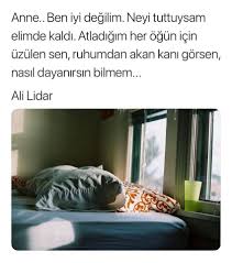 Sessizdortlukler Sair Siir Siirsokakta Siirheryerde Edebiyat Kitap Alinti Sozler Sozlerkosku Orgu Dek Okuma Alintilari Kitap Alintilari Ozlu Sozler