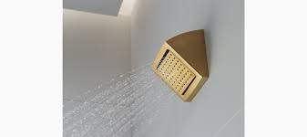 Can you buy the sprayer head only for. K 8022 Watertile Square 54 Nozzle Showerhead Kohler