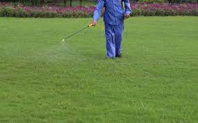 Pest control & lawn treatment in orlando, fl for homes & businesses. Lawn Pest Control Orlando Protex Lawn And Pest Control
