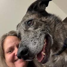 Who is a favorite realtor in Wenatchee for properties for sale?