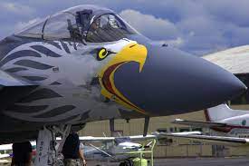 Screaming Eagle Airplane Fighter Fighter Jets Fighter Planes