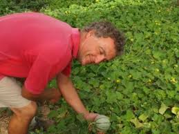 Paniers Fruits Et Legumes Bio Aix Marseille 13 Bouches Du Rhone Fiche D Un Producteur Bio De Ma Terre