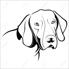 The german shorthaired pointer is a noble dog that comes from a hunting background. German Shorthaired Pointer Royalty Free Cliparts Vectors And Stock Illustration Image 44161740