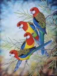 Lyn Cooke Artist Specializing In Wildlife Birds Ballarat Victoria Australia Artist Birds Wildlife
