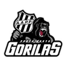 Want to find more png images? Futliga Liga De Futebol Amador