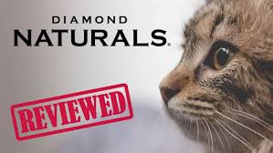 Vip fussy cat grain free. Diamond Naturals Cat Food Review 2021 In Depth Catlycat