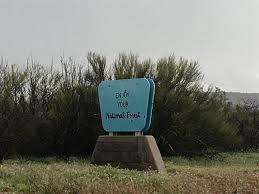 The cholla cactus garden, located about 12 miles south of the park's north entrance, is home to one of the few stands of cholla cactus in the park. Boondocking Archives Miracle Update Outback Edition