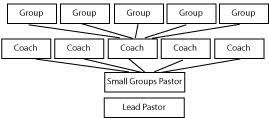 The Naked Truth About Small Groups What Does Your Small