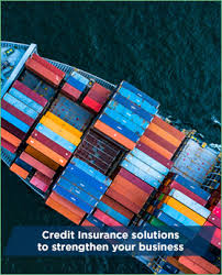 Our Offer Coface