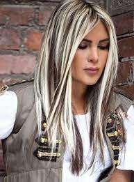 Love It Cheveux Noirs Et Blancs Cheveux Bicolores Cheveux