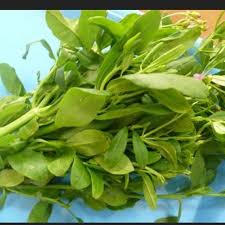 A bowl of piping hot vegetable miso soup is a simple mix of comfort, nutrition, and deliciousness! Vegetable Of The Week Water Leaf Plant Benefits Vegetables Leaf Vegetable