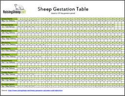 37 veracious cattle gestation chart australia