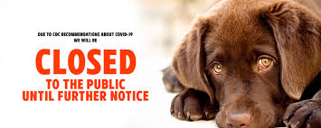 Berkeley humane is dedicated to giving cats a second chance to find loving homes. Sioux Falls Area Humane Society Sioux Falls Area Humane Society