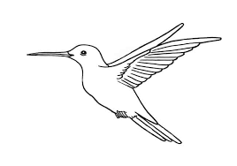 Check spelling or type a new query. How To Draw A Humming Bird Step By Step Easy Animals 2 Draw