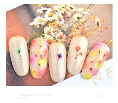 Check spelling or type a new query. New Japanese Nail Dry Flowers 12 Colors Star Sunflower 12 Colors Daisy Dry Flowers Decorate 24 Nail Dry Flowers Rhinestones Decorations Aliexpress