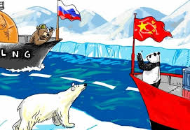 Polar – Observatorio de Seguridad y Defensa