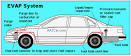 EVAP Evaporative Emission Control System - m