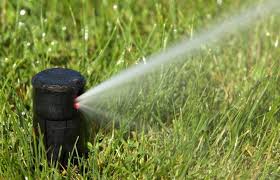 Comment installer un arrosage automatique pour gazon ? Quel Arrosage Automatique Choisir Pour Mon Jardin Pt