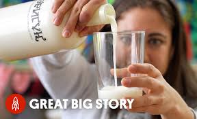 Would You Try Mongolian Fermented Horse Milk?