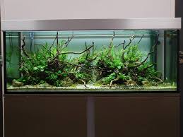 Timeline Photos Aquadesigner Boutique Aquariophilie Aquascape Aquarium Aquascape Fish Tank