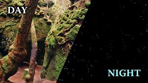 This location ensures maximum privacy. National Natural Landmark Dismals Canyon