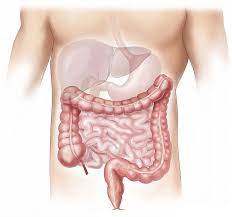 Encuentra aquí toda la información para eliminar el colon irritable y para mejorar tu salud en general. Colon Irritable Sintomas Y Tratamiento Servidigest