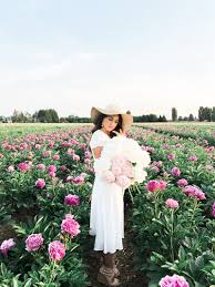 Oregon Adelman Peony Gardens Topknots And Pearls Peonies Garden Peony Farm Peonies