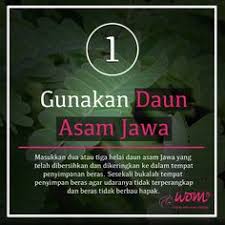 Berikut cosmos share beberapa cara ampuh menghilangkan. 8 7 Cara Berkesan Hapuskan Kutu Beras Ideas Beras Online Magazine Women Online
