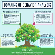 Domains Of Behavior Analysis Applied Behavior Analysis Aba Therapy Activities Behavior Analysis