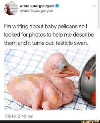 Pin On Funny Writing Memes