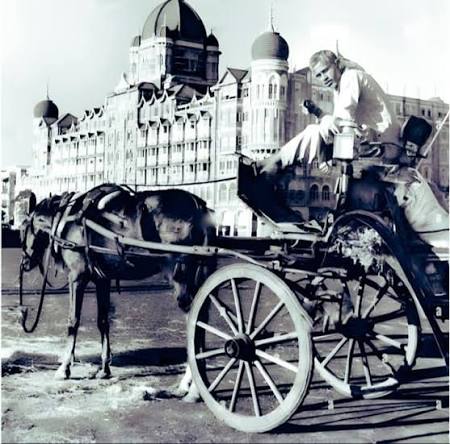 Victoria horse drawn carriage Bombay Maharashtra India 1957