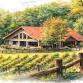 Camp Corkscrew: The All-Inclusive Adult Retreat