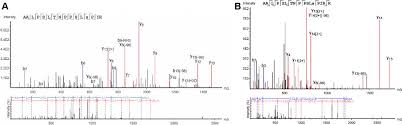 Tito jackson has been to hundreds of crime scenes, by his own count, and he's lived in his roxbury home on schuyler street for over four decades. Design And Characterization Of Mutant And Wildtype Huntingtin Proteins Produced From A Toolkit Of Scalable Eukaryotic Expression Systems Journal Of Biological Chemistry