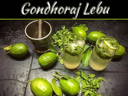 Founded in 1862 by col. Gondhoraj Lebu The Secret Passed Down Through Generations Rasoi Rani