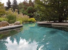 Piscine Naturelle Selestat Paysagiste Piscine Biologique