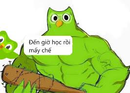 10 meme Duolingo cơ bắp, cầm súng, cầm ...