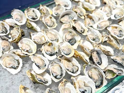 Bí quyết sơ chế hàu sống đơn giản tại nhà